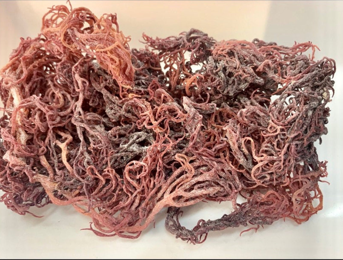 Wildcrafted Raw Sea Moss - 5 lbs