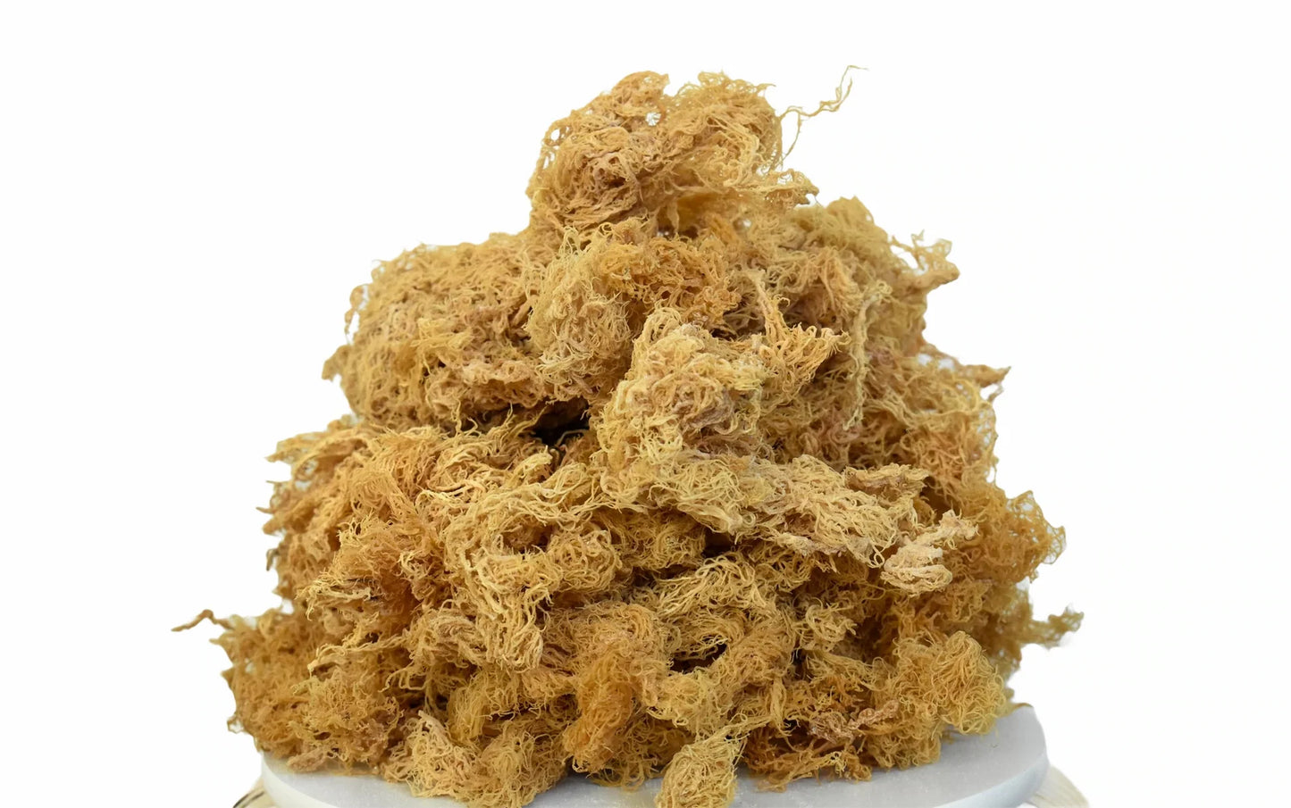 Wildcrafted Raw Sea Moss - 5 lbs