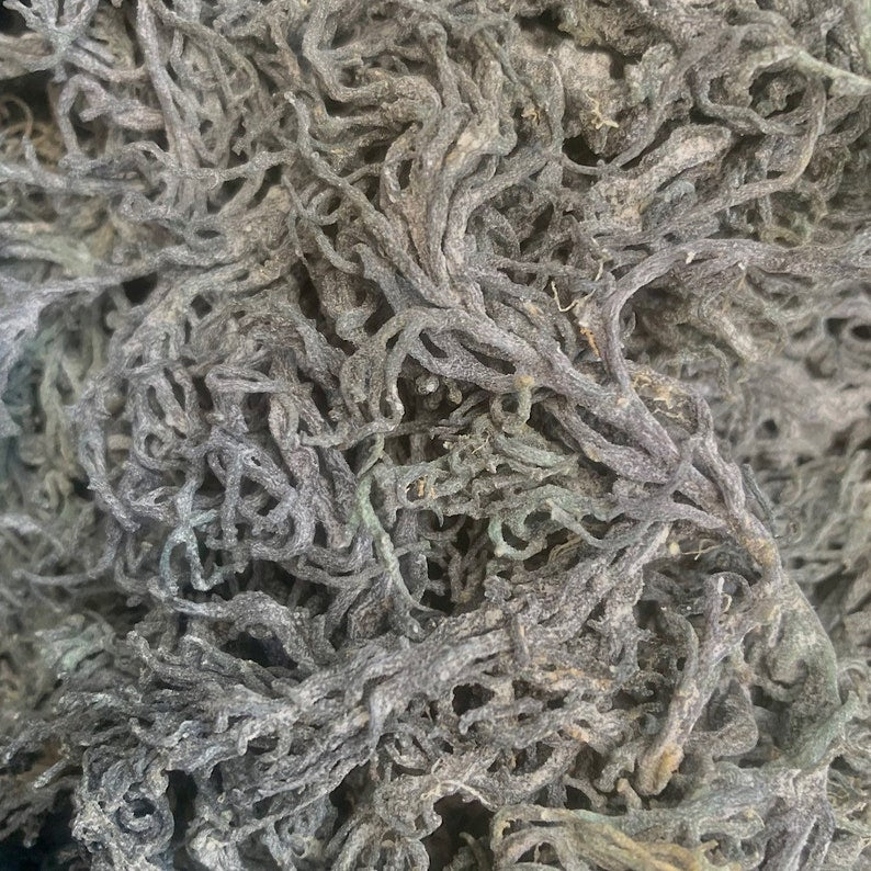 Wildcrafted Raw Sea Moss - 5 lbs